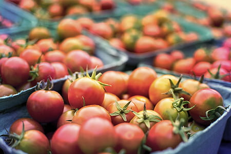 bunch of tomatoes thumbnail