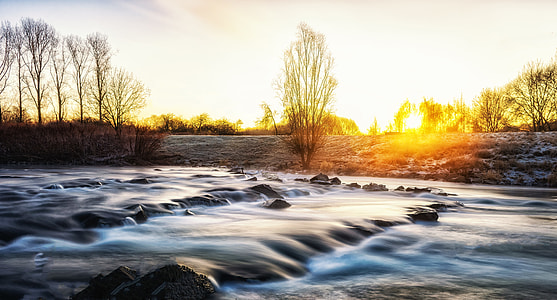 river near trees during golden hour thumbnail