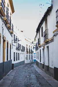 gray concrete pathway between houses thumbnail