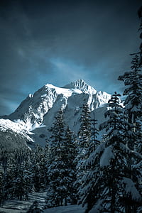 green forest near white snow mountain thumbnail