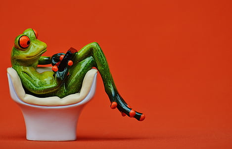 green frog sitting on egg chair thumbnail