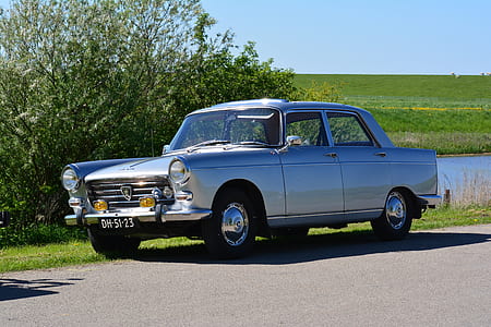 classic grey sedan parked near green leafed tree during daytime thumbnail