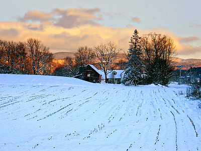 snow field during dawn thumbnail
