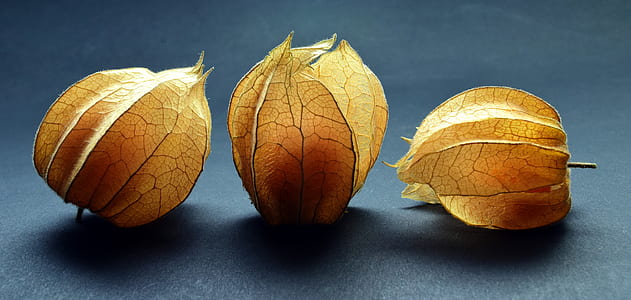 three yellow leaves thumbnail