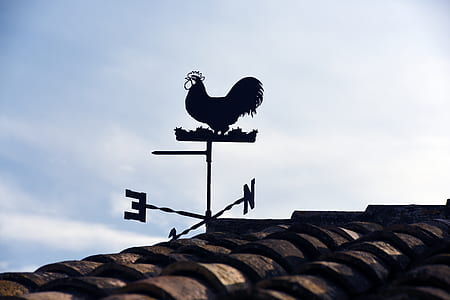 silhouette photo of weathervane on roof during daytime thumbnail