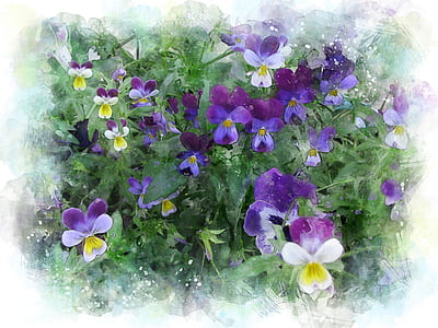 painting of tricolor violet flower thumbnail