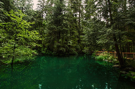 light, landscape, nature, water thumbnail