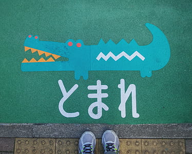 person standing near green crocodile graphic area rug thumbnail