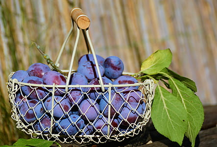 bunch of grapes on white basket thumbnail