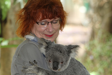 woman carrying koala bear selective focal photo thumbnail