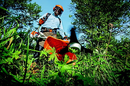 low-angle photo of person using string trommer thumbnail