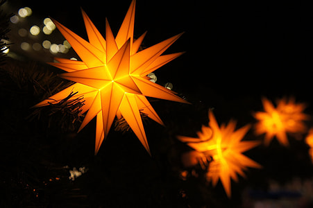 orange string lights in closeup photography thumbnail