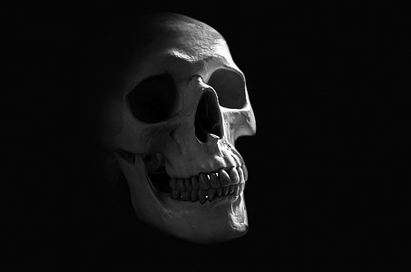 human skull thumbnail