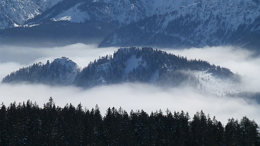 landscape photography of snow mountains with tall trees thumbnail