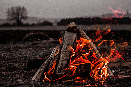 bone fire thumbnail