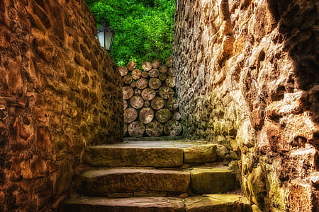 concrete steps near green tree thumbnail