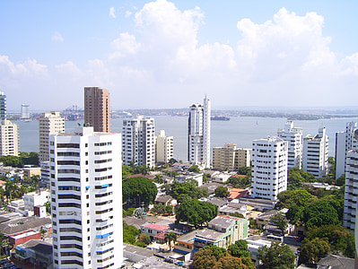 bird's eye photography of high rise building thumbnail