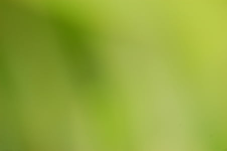 green, blur, background, blurred, color, colour thumbnail