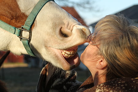 person nose to nose on brown horse thumbnail