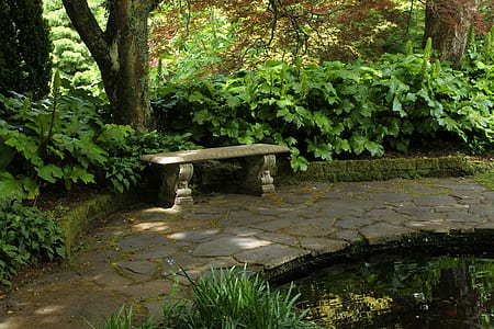 gray concrete bench surrounded by trees thumbnail