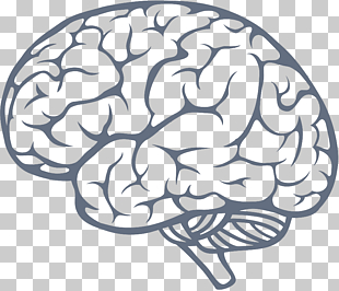 Human brain Drawing Illustration, Brain .ico, brain sketch PNG clipart