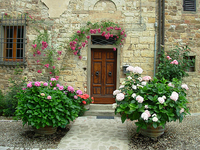 pink and white flowers beside gray concrete brick house thumbnail