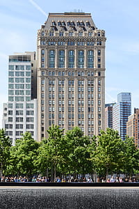 crowd of people in front of building and trees during daytime thumbnail