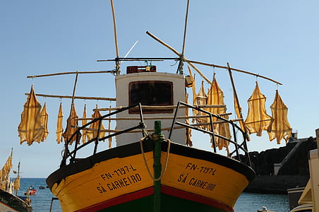 yellow and black fishing boat during daytime thumbnail