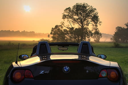 BMW Z4 convertible parked on green grass field during golden hour thumbnail