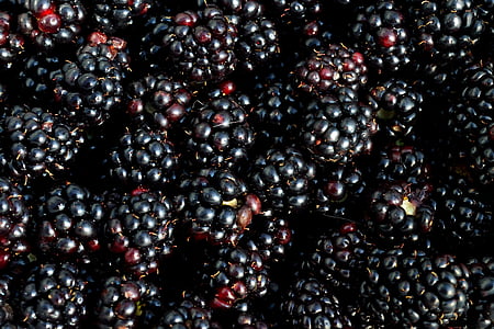 pile of berries thumbnail
