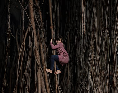 girl climbing tree thumbnail