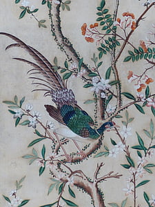 peacock on branch thumbnail