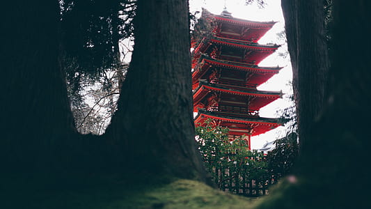 low angle photography of pagoda thumbnail