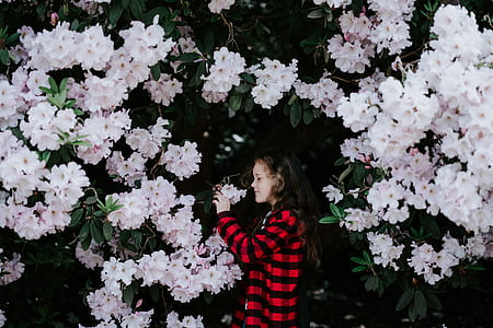 woman standing under white rhododendron flowers thumbnail