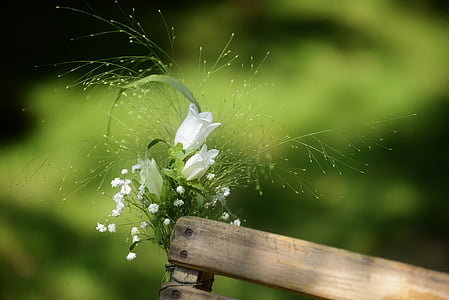 white flower on top of brown wooden fence during daytime thumbnail