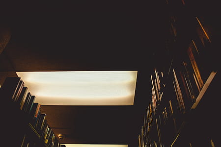 Photo Of Books thumbnail