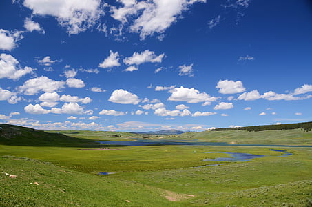 Green Fields Under Blue Cloudy Sky thumbnail