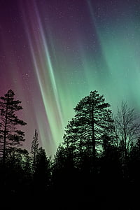 northern lights during nighttime thumbnail