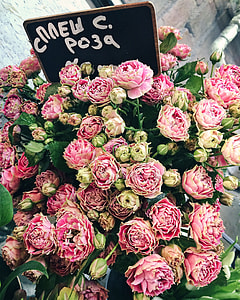 pink and yellow flowers thumbnail