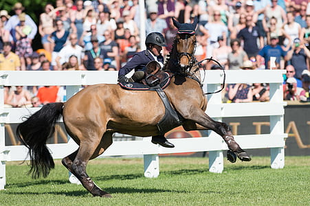 man riding horse near white fence thumbnail