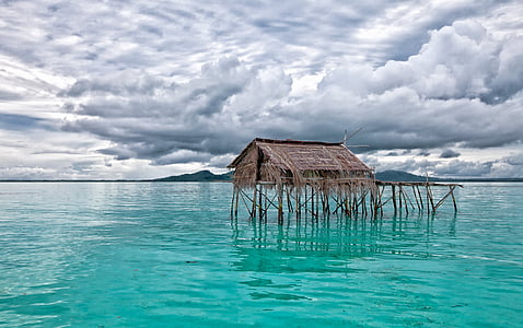 brown wooden house on body of water thumbnail