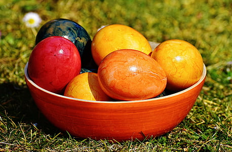 assorted fruits on red ceramic bowl thumbnail