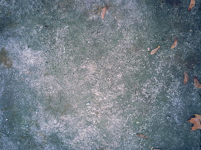 brown leaves thumbnail