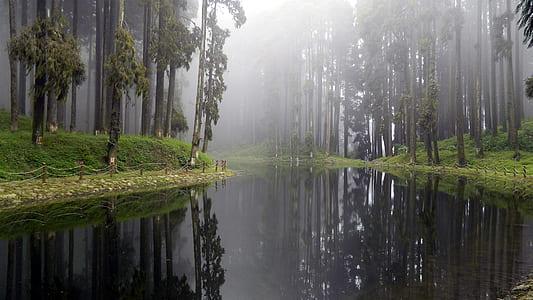 River Between Trees and Grass thumbnail