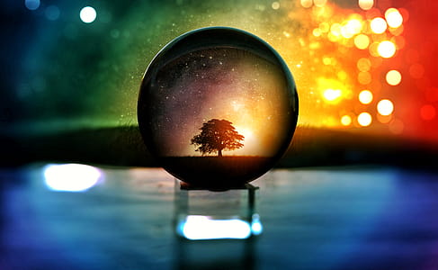 lights, dark, blur, tree thumbnail