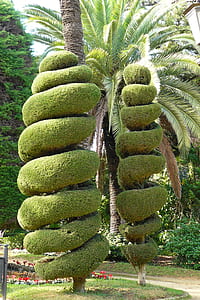 two spiral trees near trees during day thumbnail
