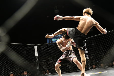two men fighting inside octagon cage thumbnail