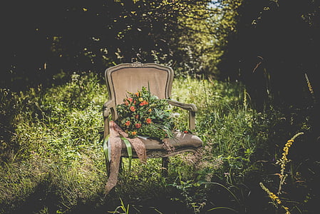 brown armchair on green grass field thumbnail