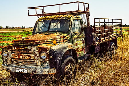 rusted green single cab truck on open field thumbnail