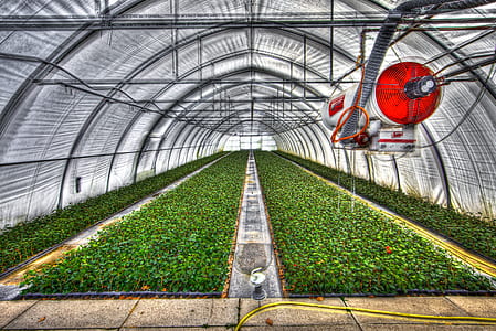 garden canopy thumbnail